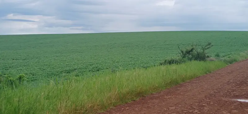 Tradição gaúcha nas Missões