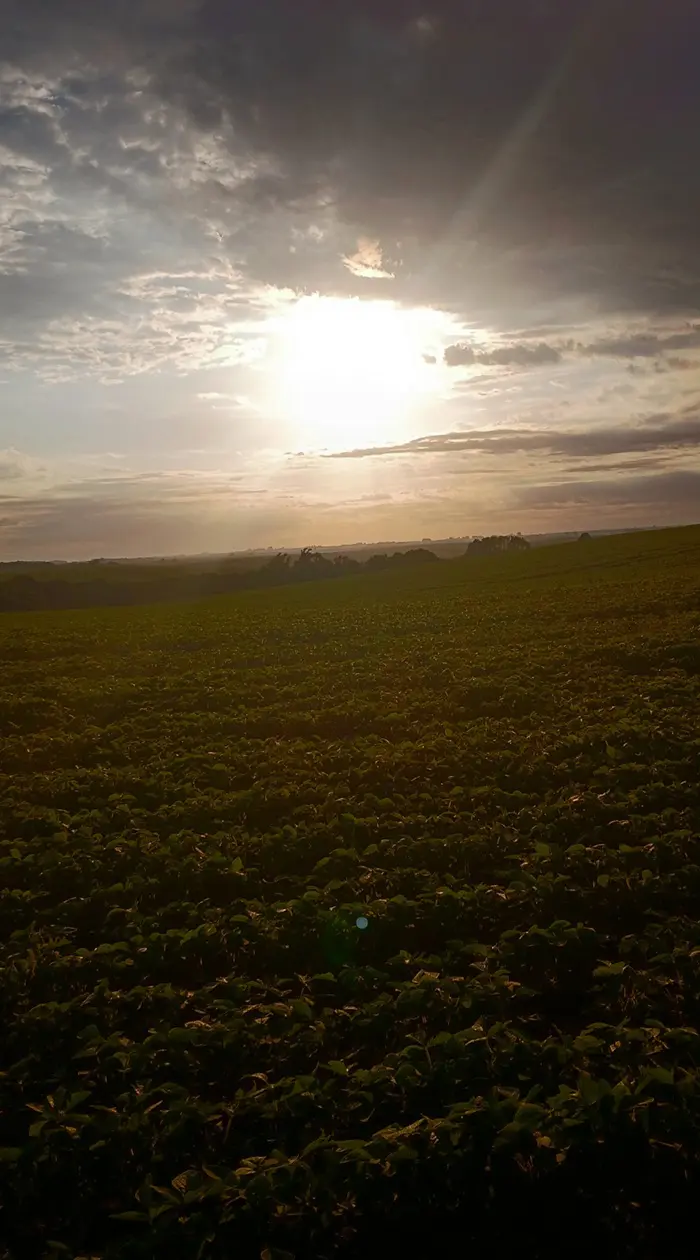 Caminho das Missões