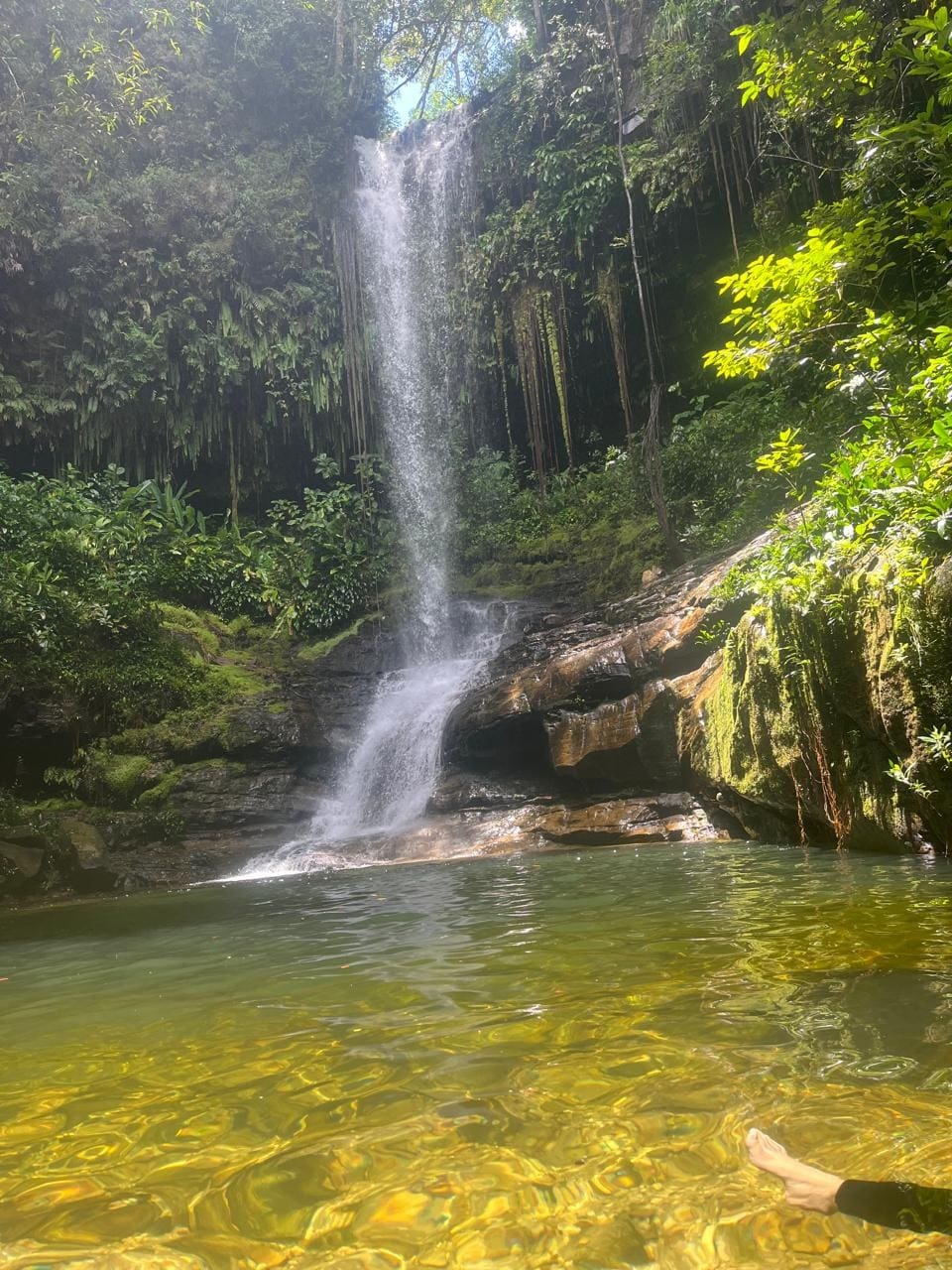 Santa Cruz do Araguaia