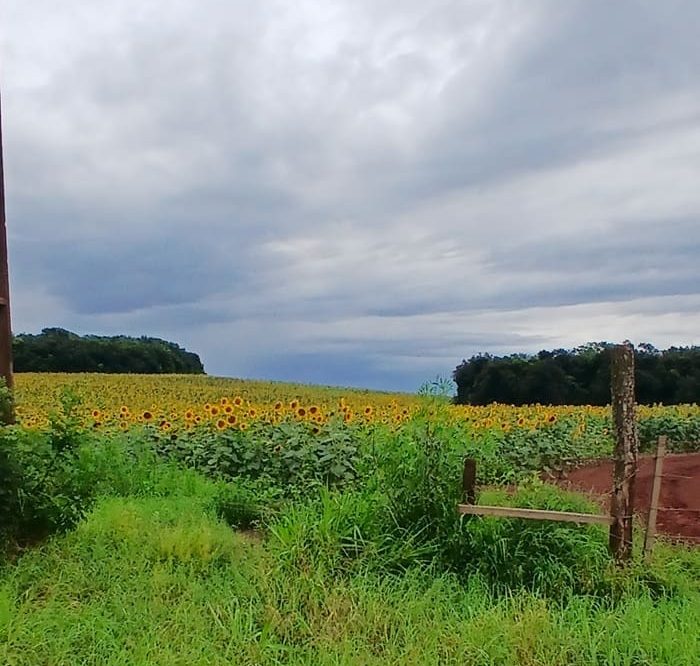 Caminho das Missões